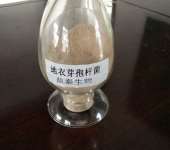 河南畜牧水產動物營養優化 飼料添加劑與飼料銷售的戰略整合